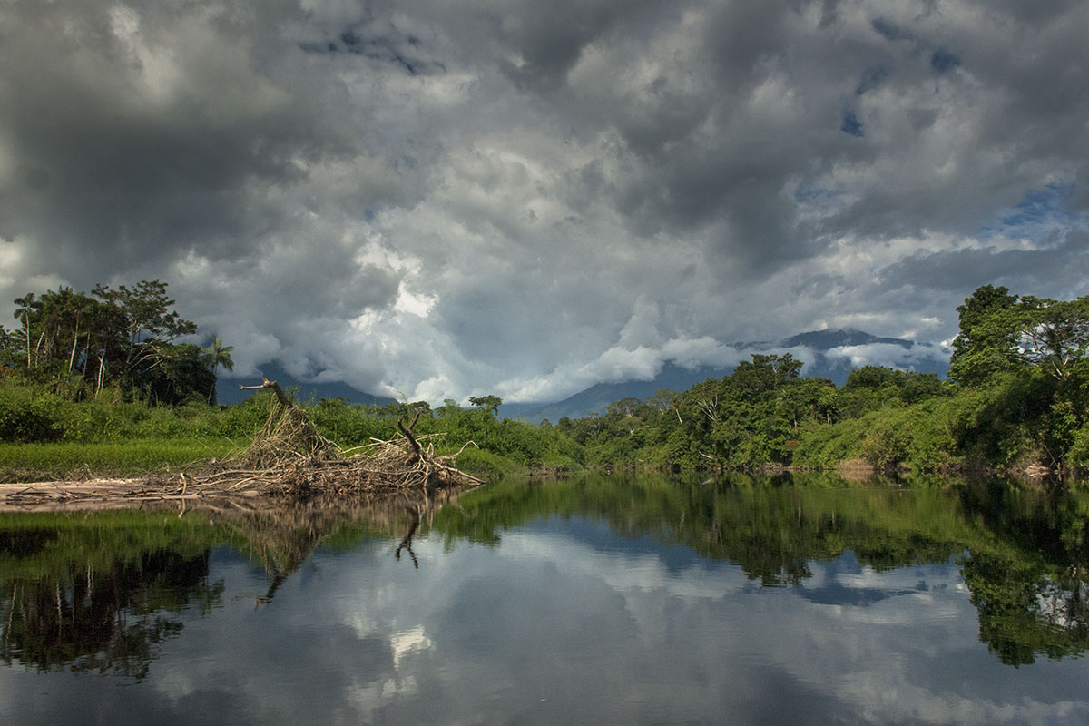 <p><strong>Rio Baria</strong> Venezuela</p>