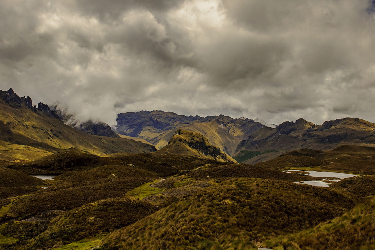 <p><strong>Cajas (Andes)</strong> Ecuador</p>