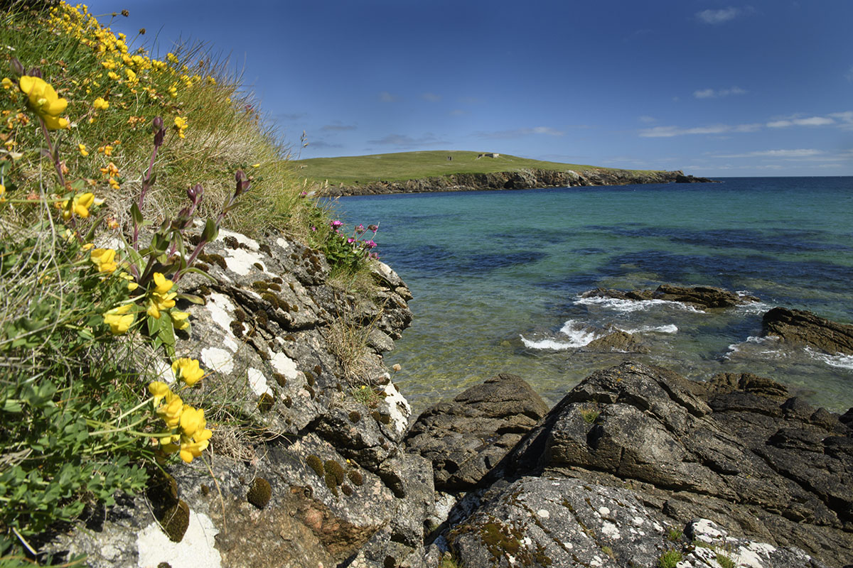 <p>Unst</p>